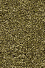 Ковролин AW Devotion 23 фото 1 | FLOORDEALER